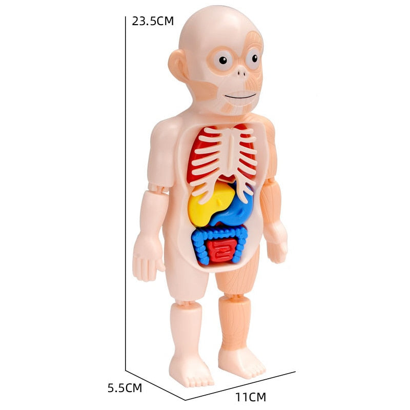 Creepy Fun: Children's Anatomy Set | Educational and Interactive Toy