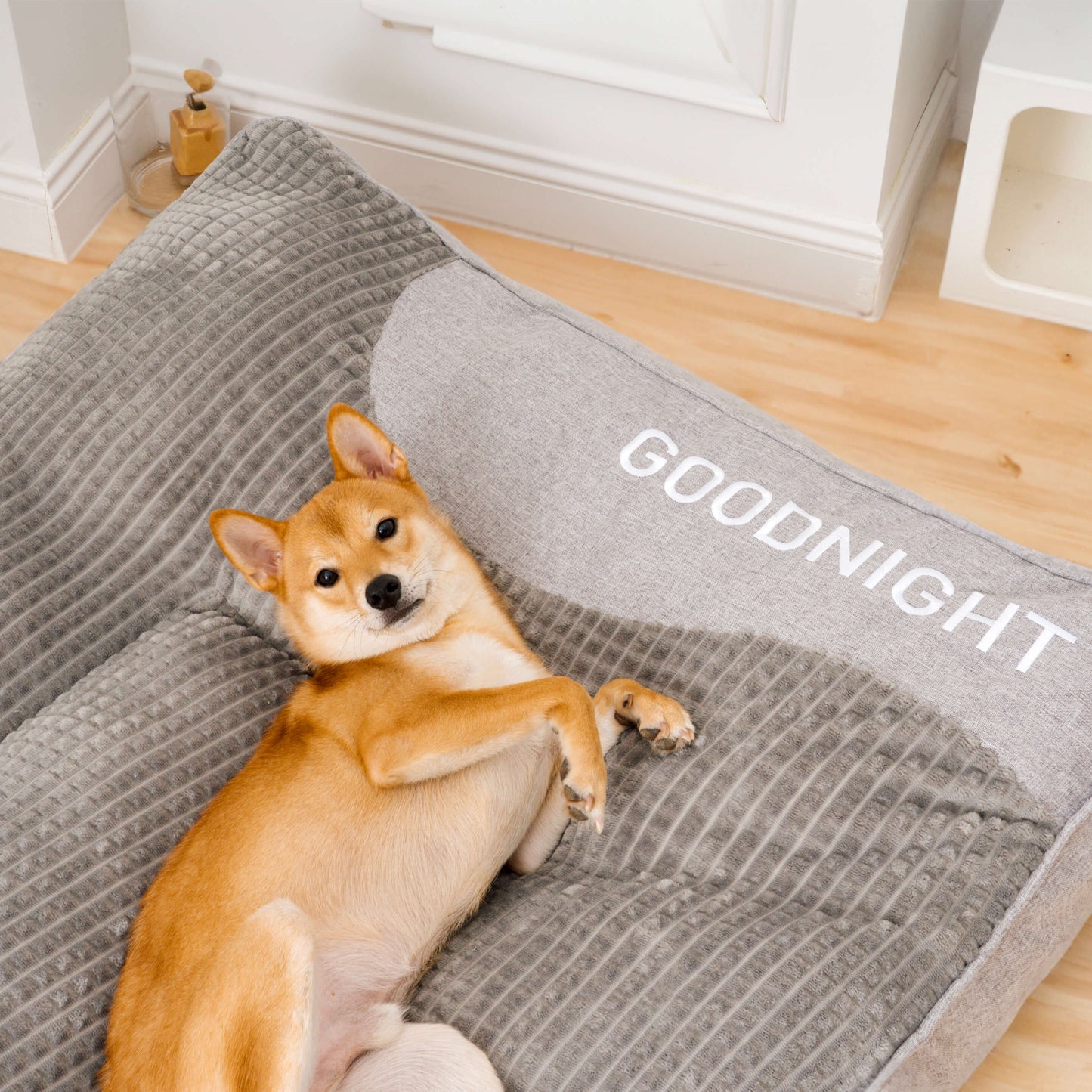 Dog Bed with Spine Protection - Large and Scratch-Resistant