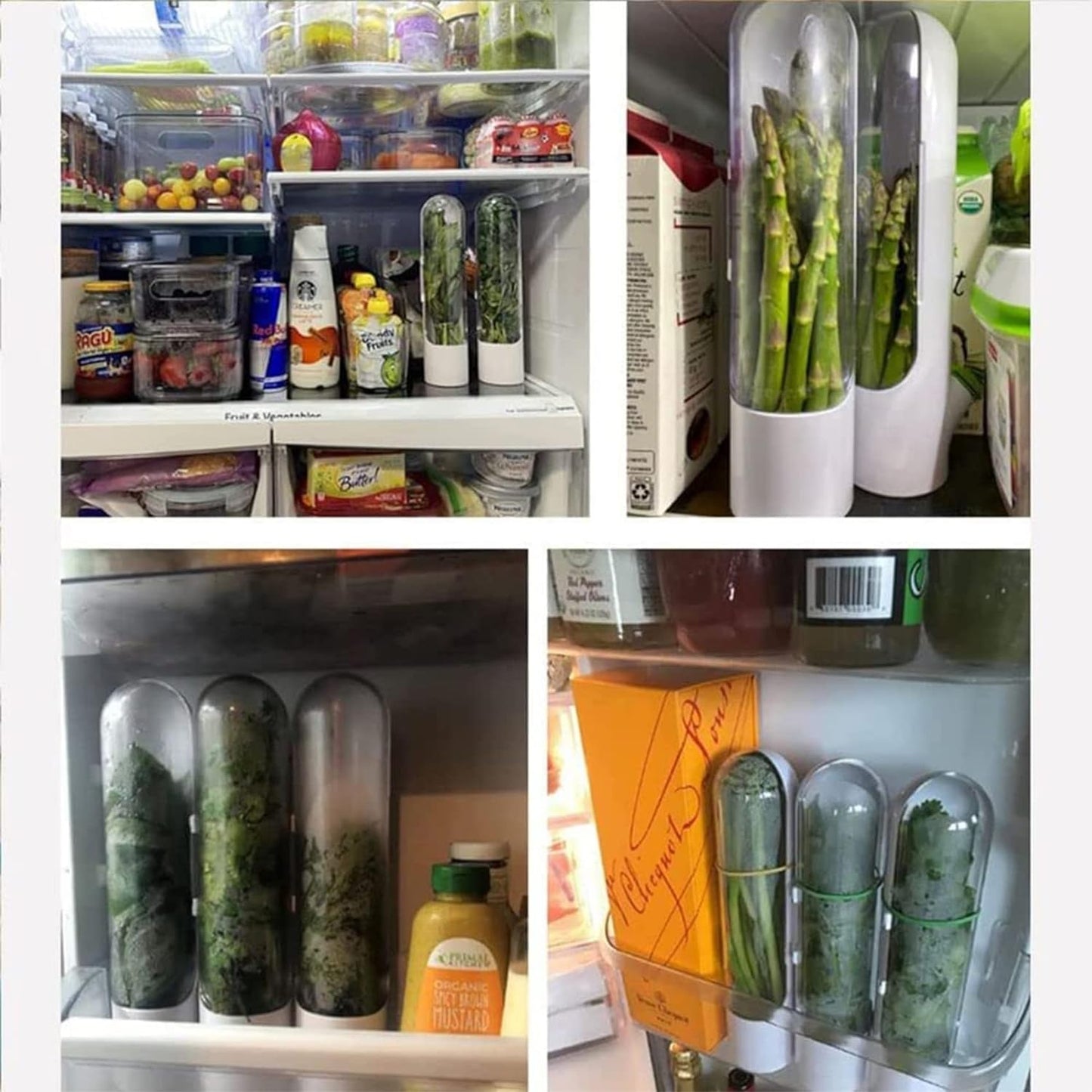 HerbGuard – Space-saving herb protector. Ensures long-lasting freshness of your herbs while minimizing waste.