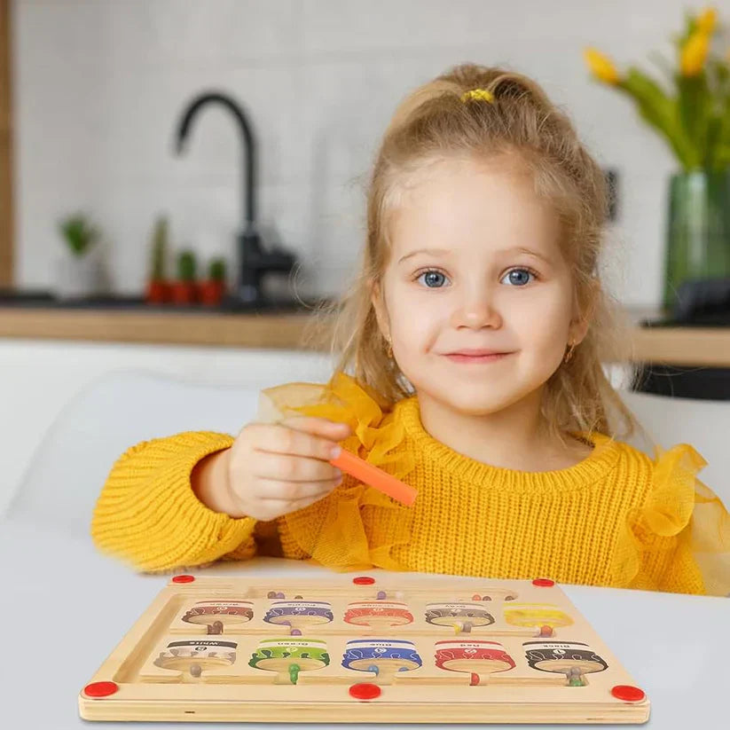 Montessori Magnetic Labyrinth