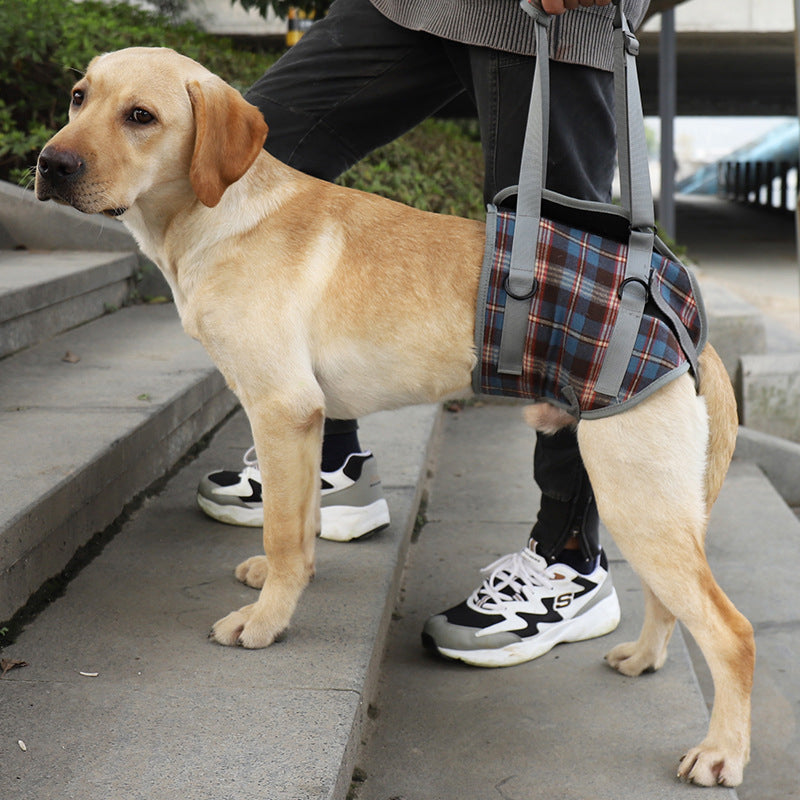 Orthopedic Harness for Hind Legs