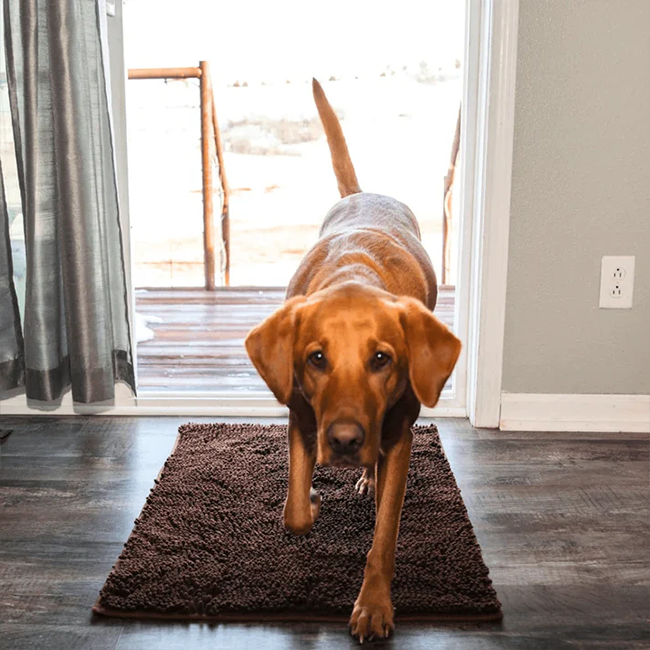 SusanSmith™ Dog Mat