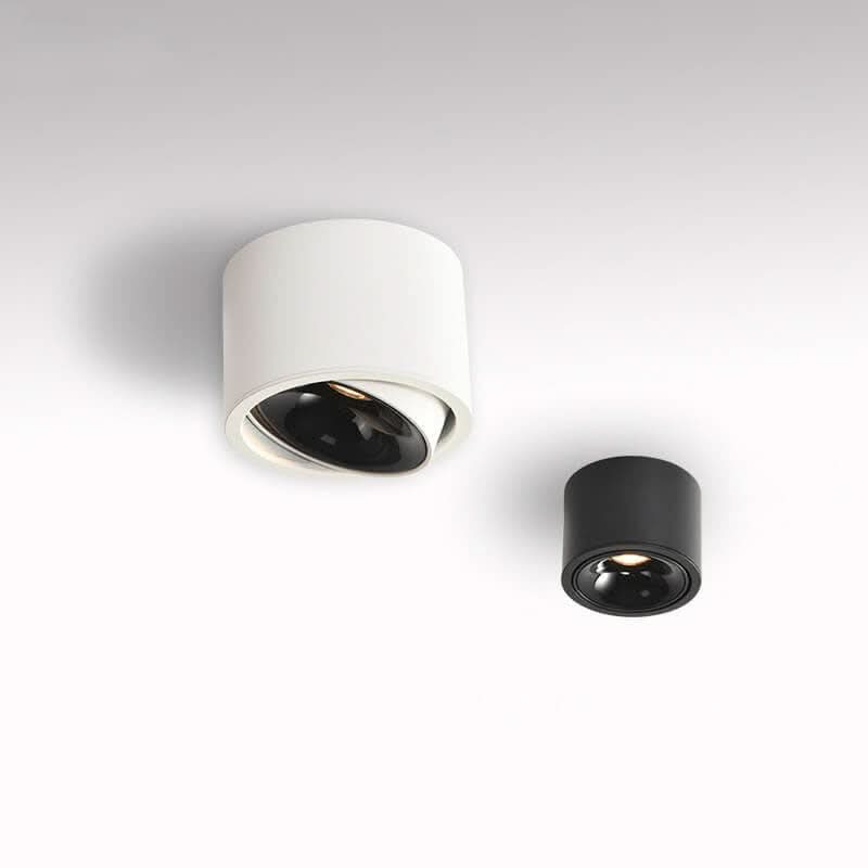 Adjustable LED Flush Mount Ceiling Spotlight