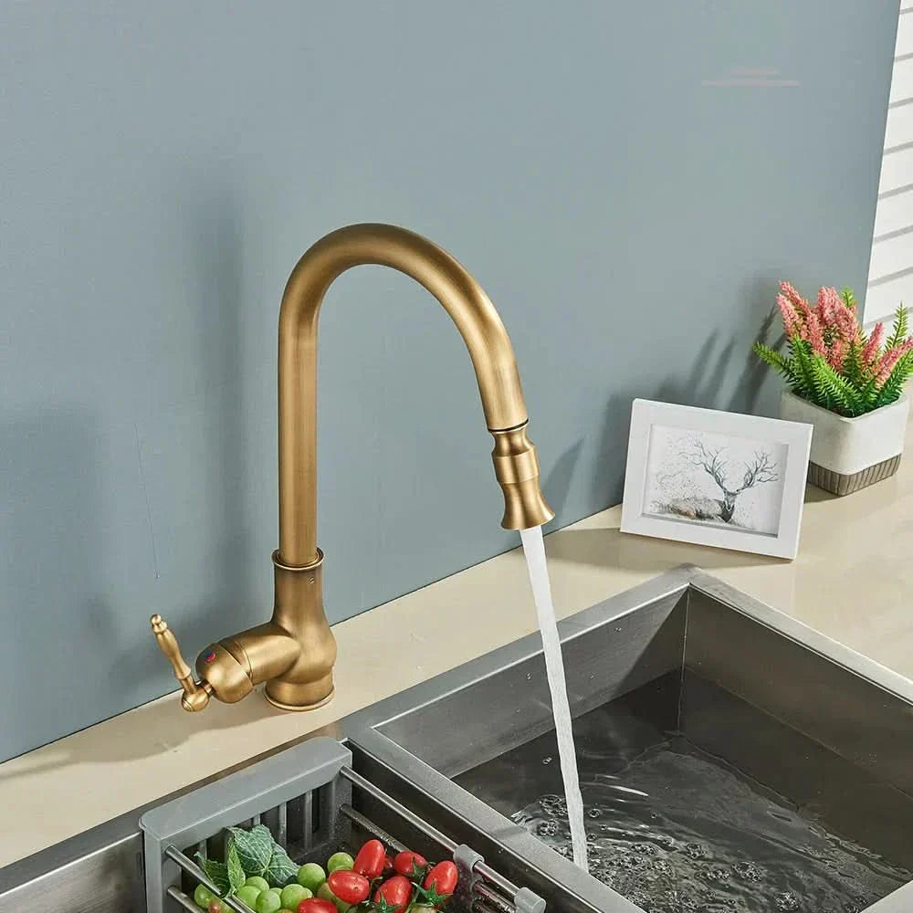 Antique Brass Kitchen Faucet with Swivel Spout