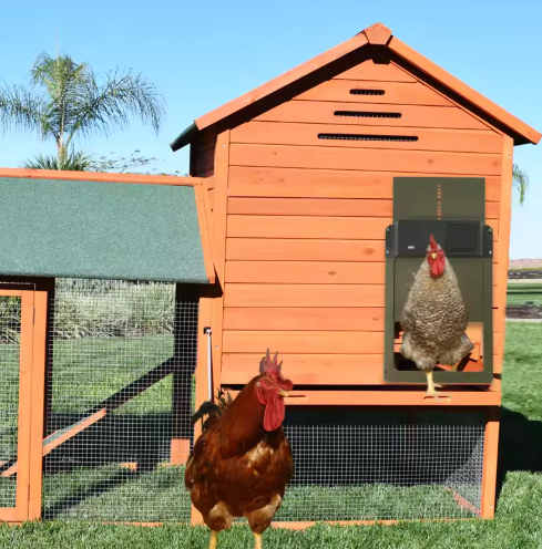 Automatic Chicken Coop Door System with Solar Options