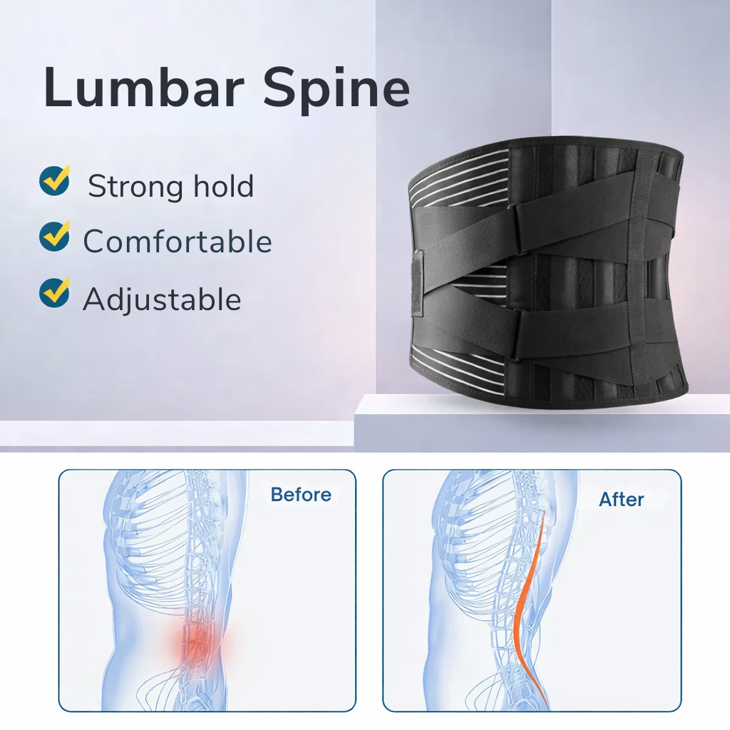 Back Support | Lumbar Support Belt | 360 Degree Stabilization | OrthoFlexa