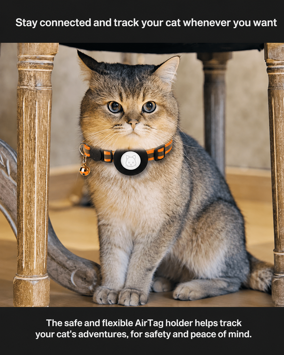 Cat GPS Tracker Collar for Safety and Visibility