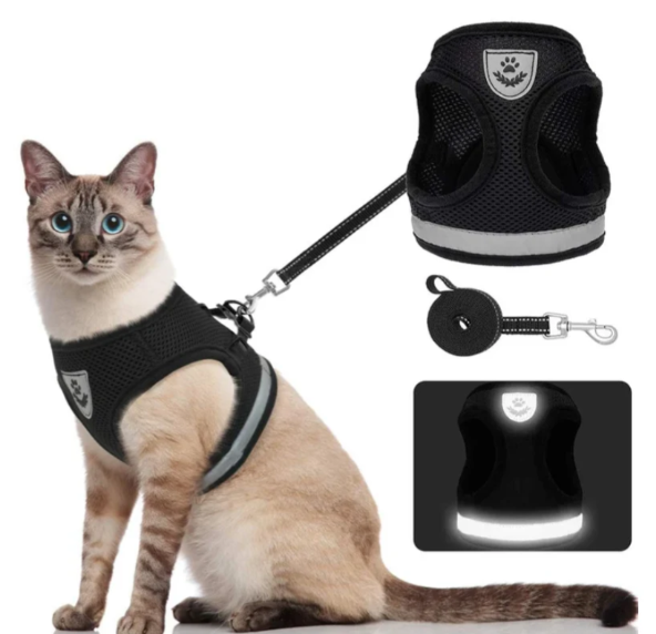Cat Harness with Leash - Safe and Comfortable | Adjustable