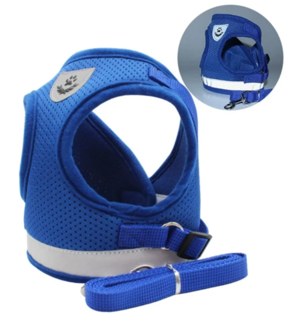 Cat Harness with Leash - Safe and Comfortable | Adjustable