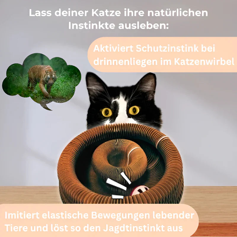 Cat Swirl