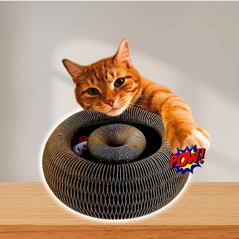 Cat Swirl
