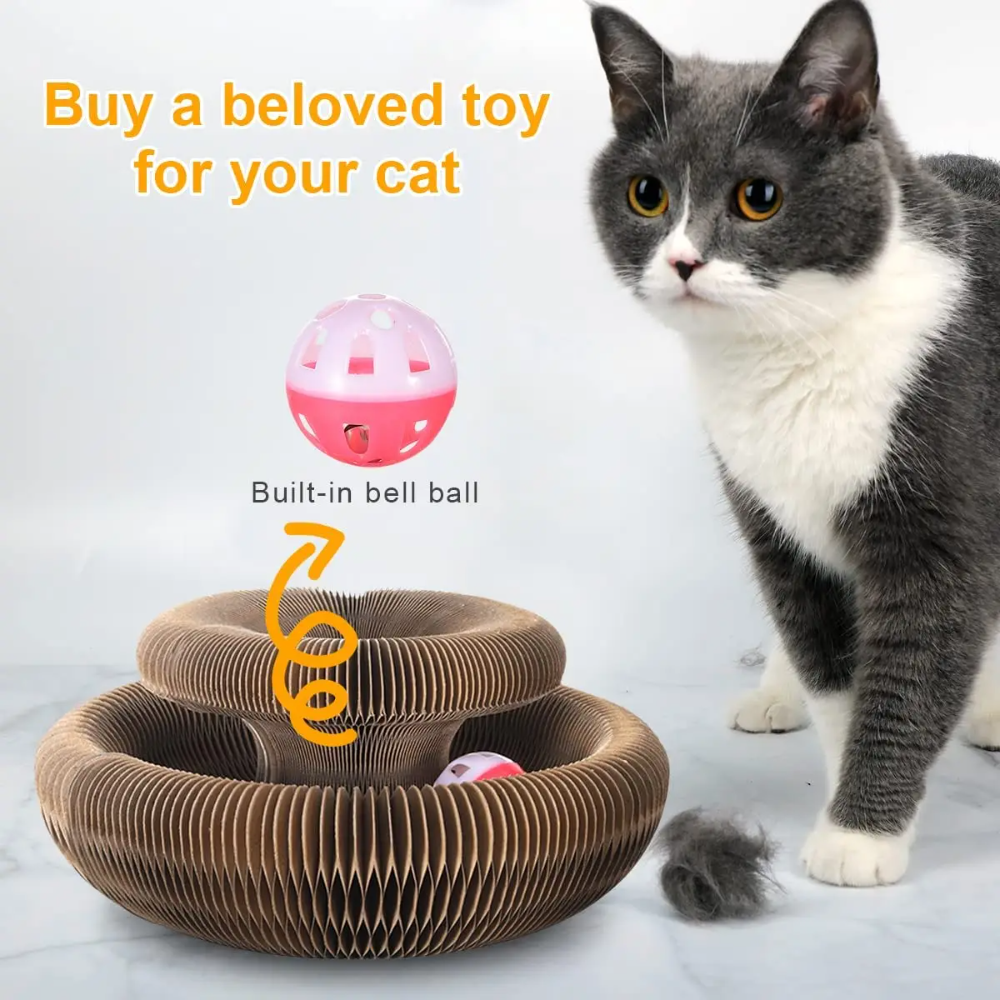 Catfri® - The Cat Scratcher