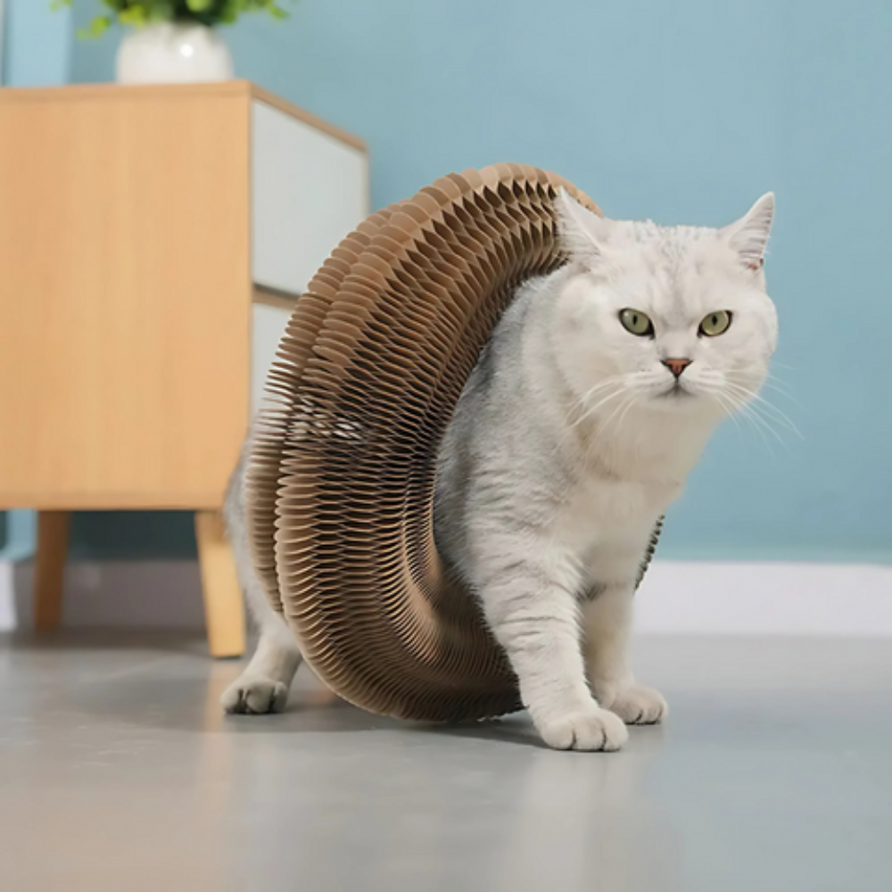 Catfri® - The Cat Scratcher