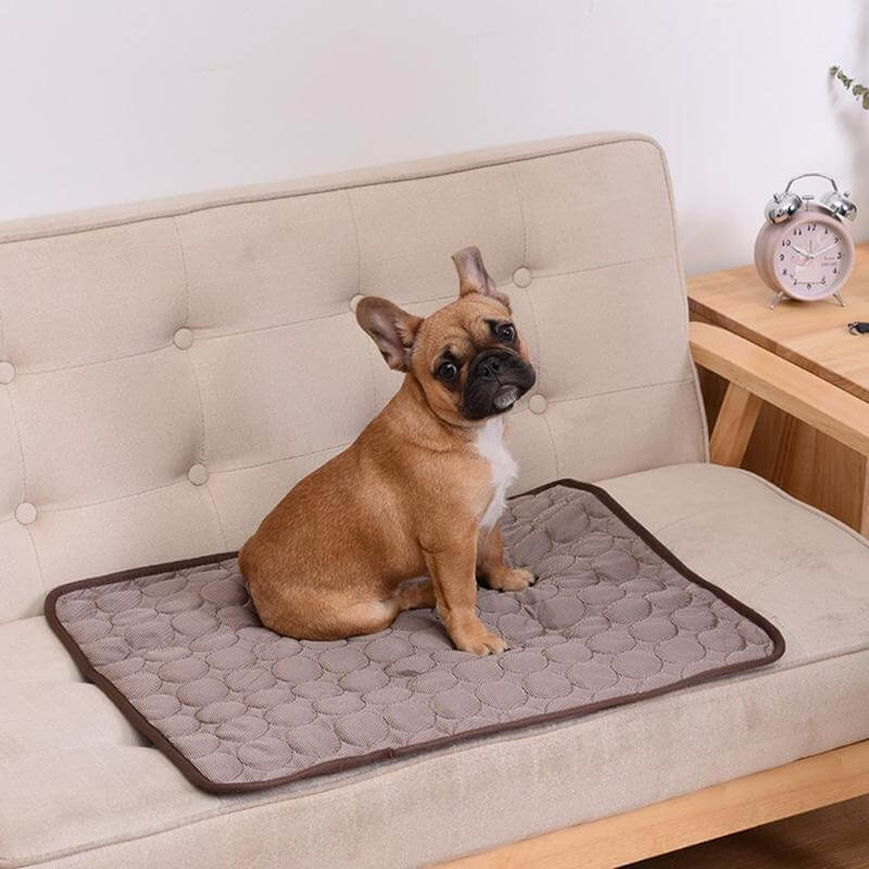 Coolmat™ | Heat Absorbing Pet Mat for Cooling and Comfort