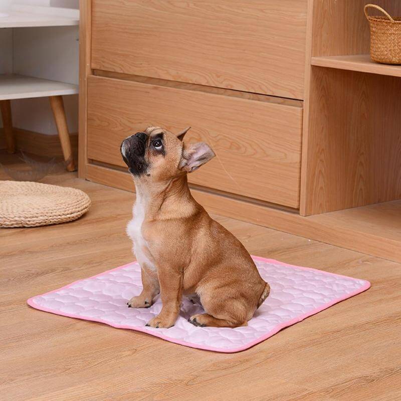 Coolmat™ | Heat Absorbing Pet Mat for Cooling and Comfort