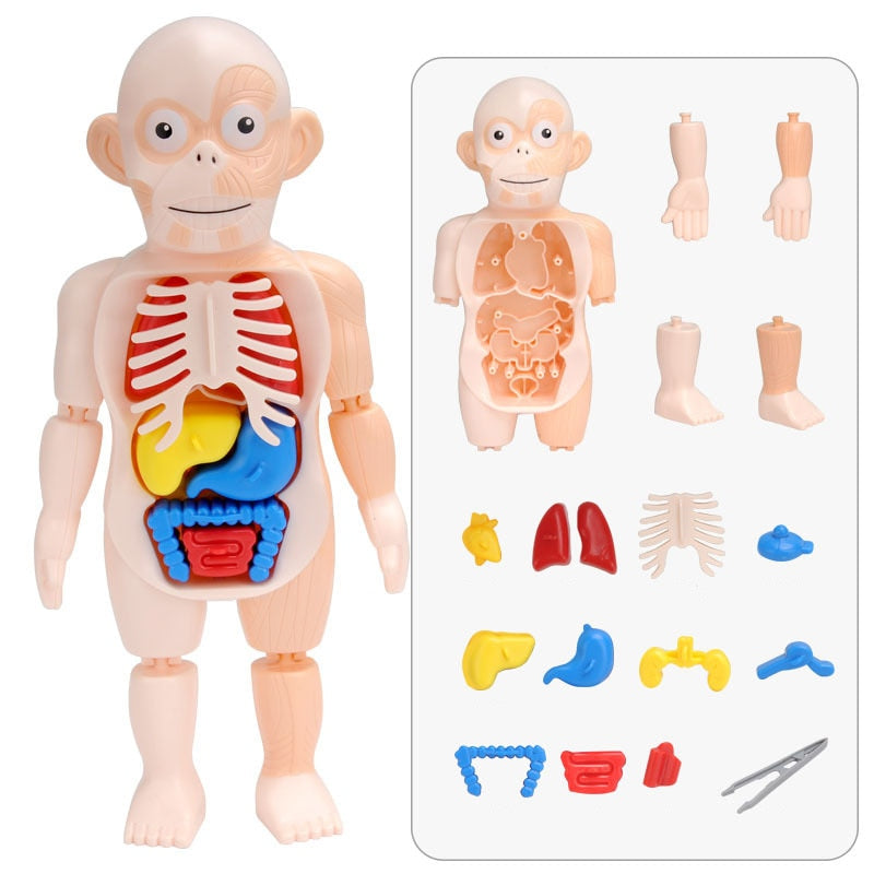 Creepy Fun: Children's Anatomy Set | Educational and Interactive Toy
