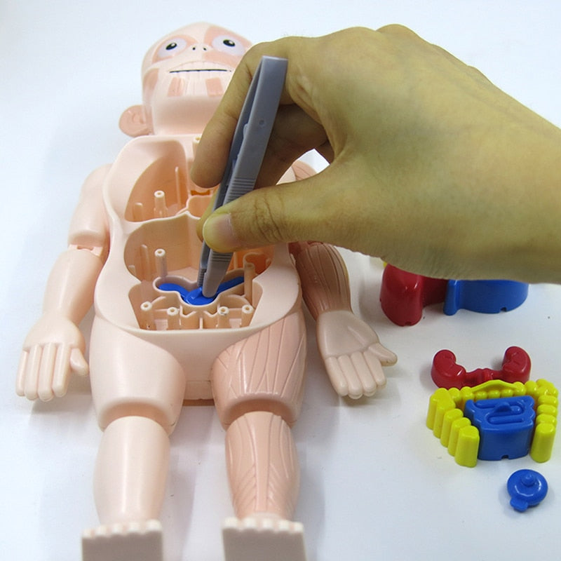 Creepy Fun: Children's Anatomy Set | Educational and Interactive Toy