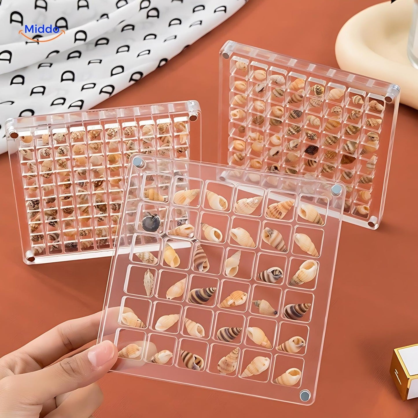 DisplayCase™ | The Ultimate Display Solution for Shells and More