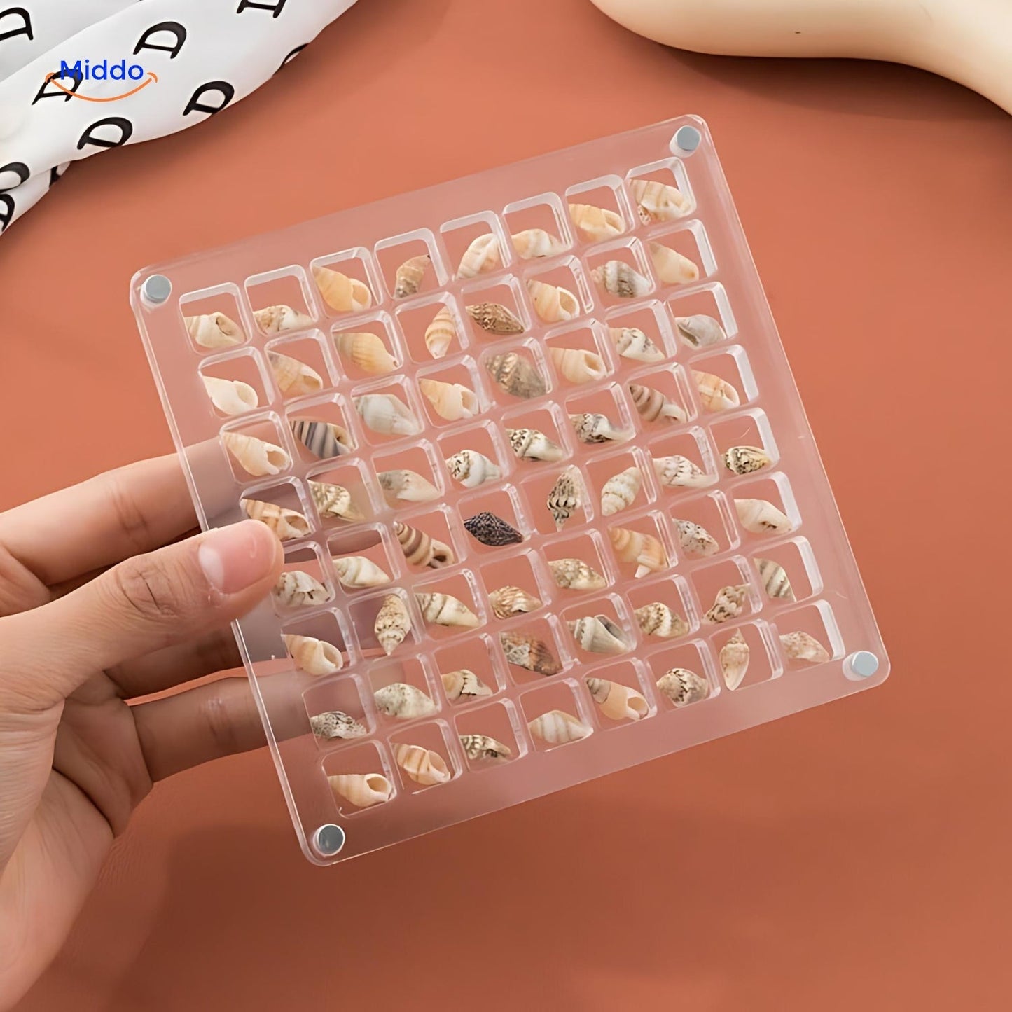 DisplayCase™ | The Ultimate Display Solution for Shells and More