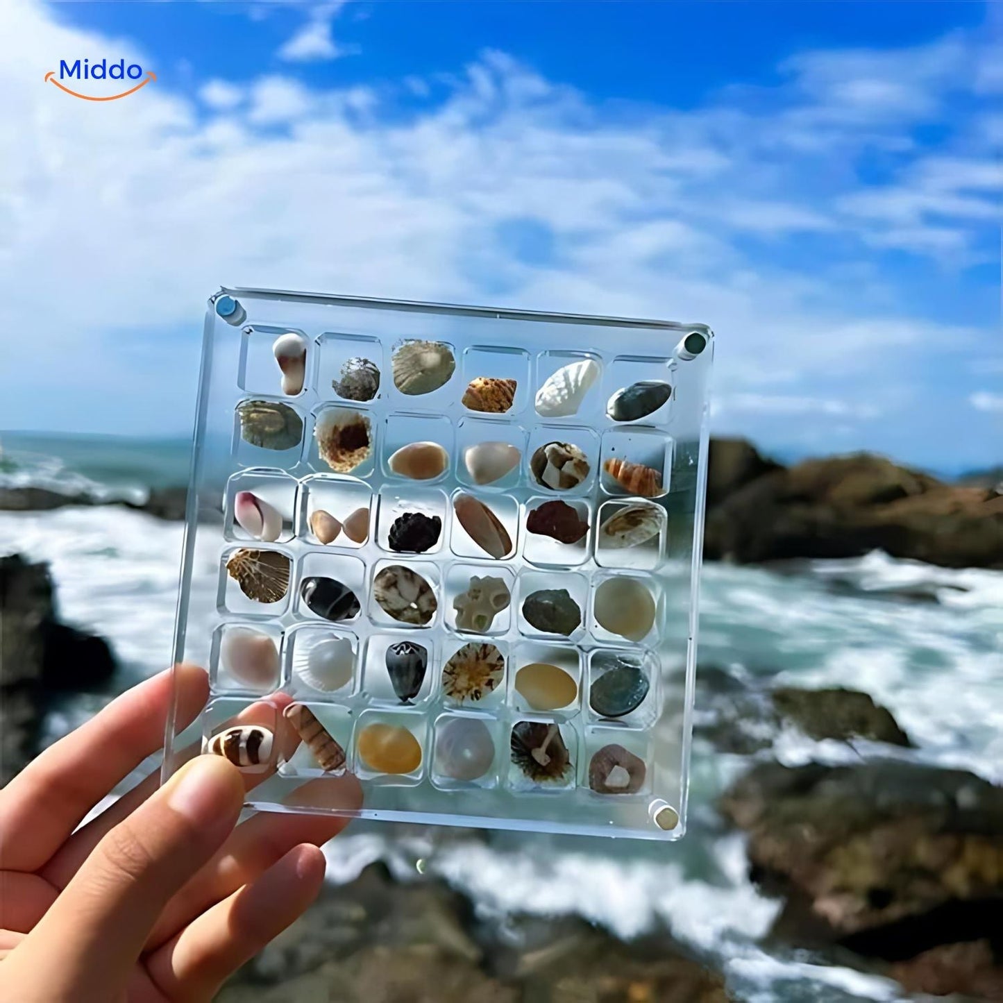 DisplayCase™ | The Ultimate Display Solution for Shells and More