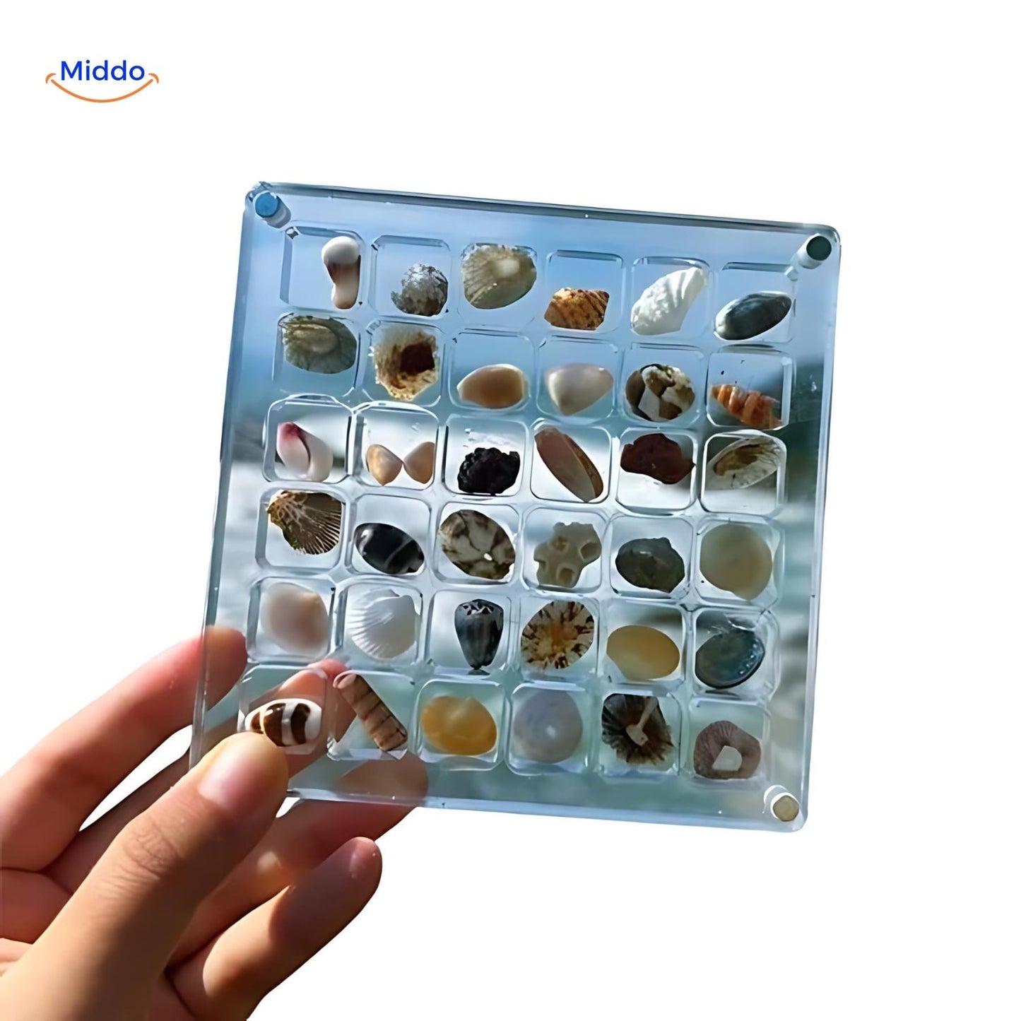 DisplayCase™ | The Ultimate Display Solution for Shells and More