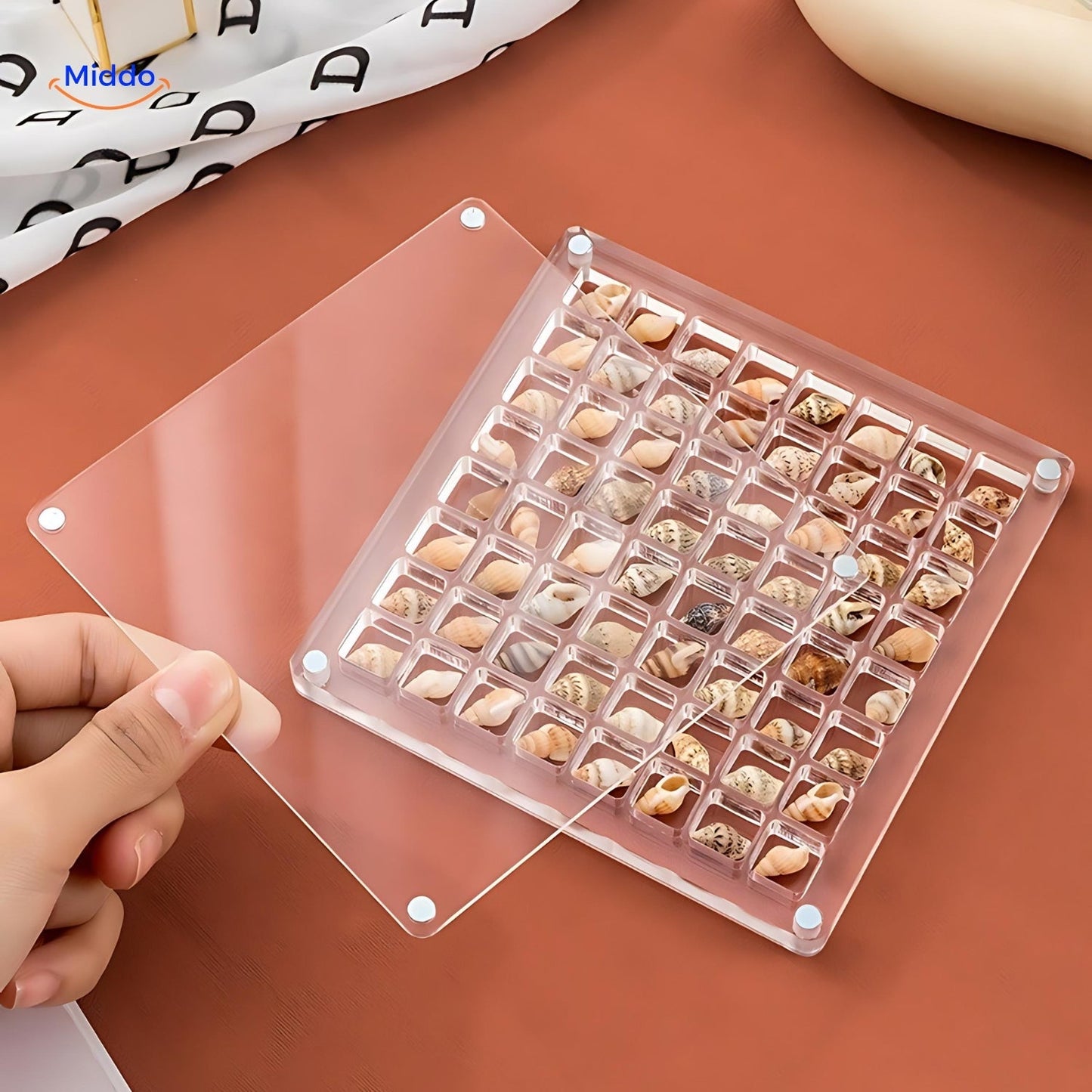 DisplayCase™ | The Ultimate Display Solution for Shells and More