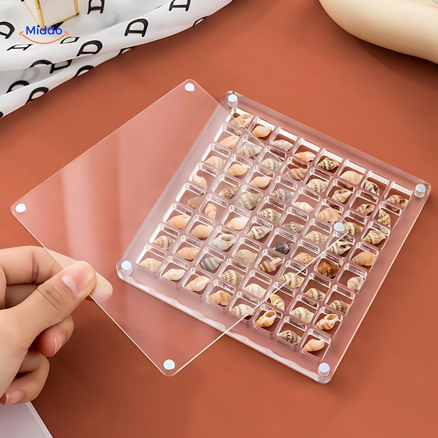 DisplayCase™ | The Ultimate Display Solution for Shells and More