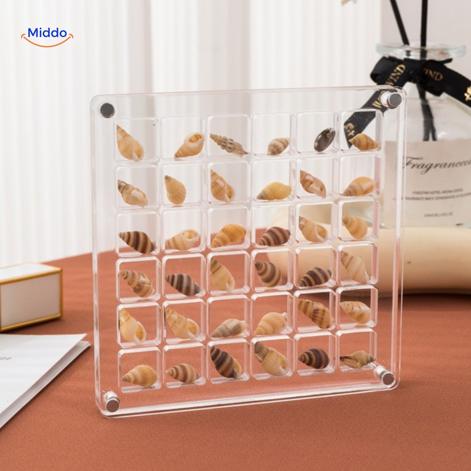 DisplayCase™ | The Ultimate Display Solution for Shells and More