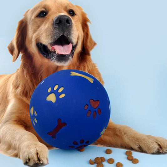 Dog Activity Ball - for the Joy and Benefit of Your Dog