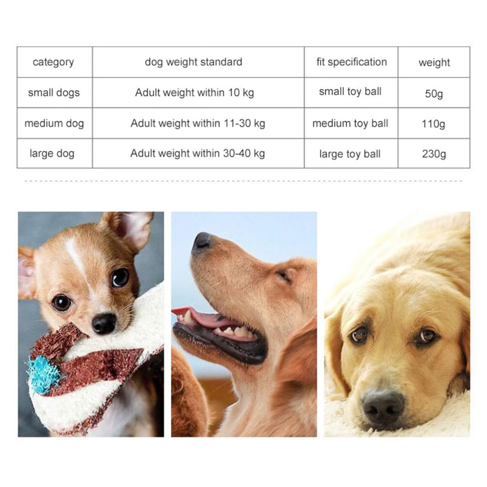 Dog Activity Ball - for the Joy and Benefit of Your Dog