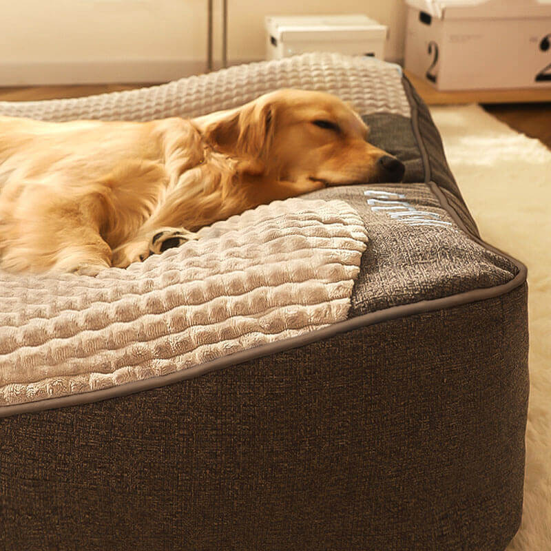 Dog Bed | Large and Scratch-Resistant Dog Cushion with Orthopedic Support