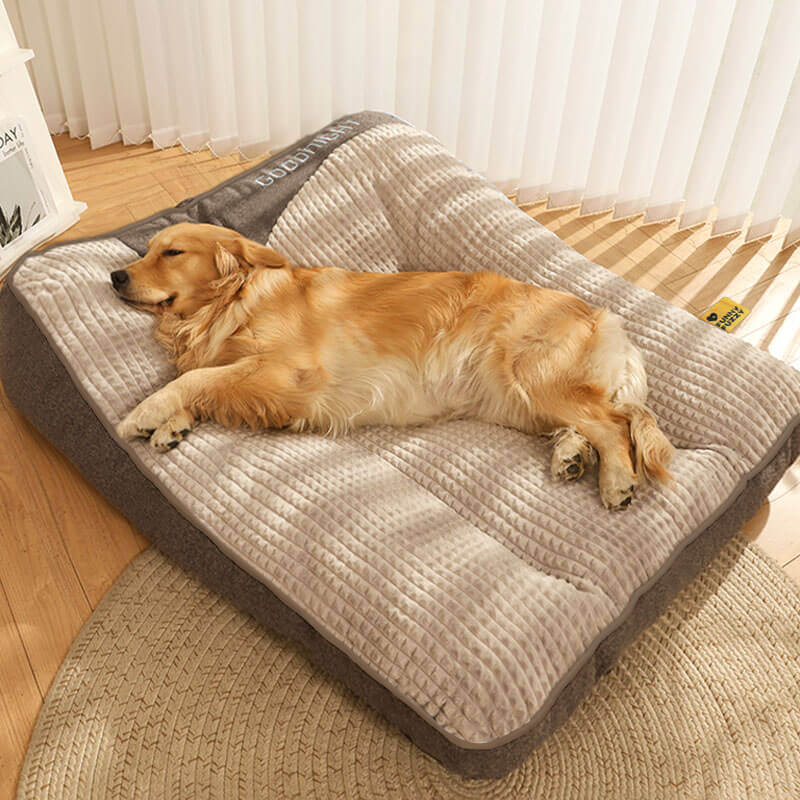Dog Bed | Large and Scratch-Resistant Dog Cushion with Orthopedic Support
