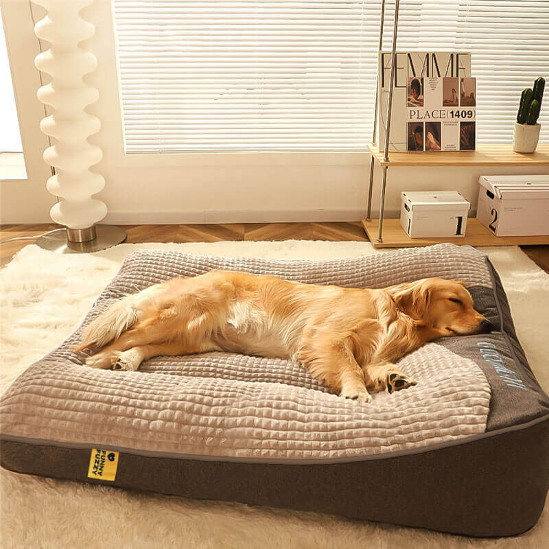 Dog Bed with Spine Protection - Large and Scratch-Resistant