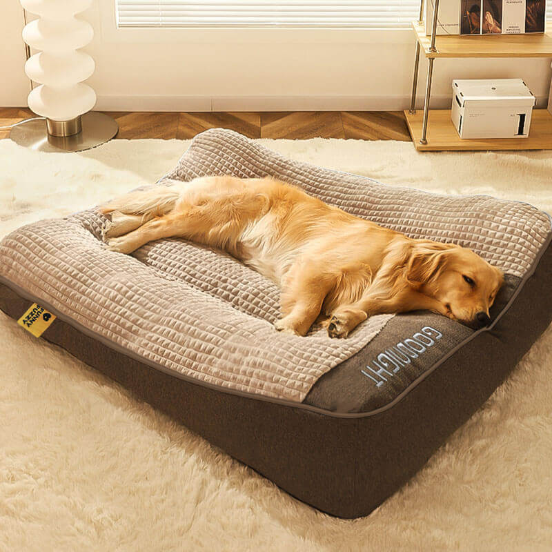 Dog Bed with Spine Protection - Large and Scratch-Resistant