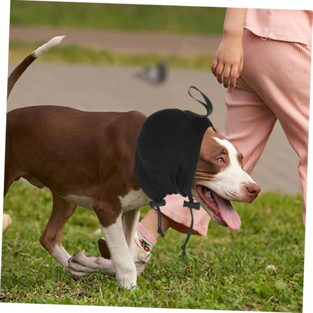 Dog Hearing Protection - Comfort & Stress Reduction