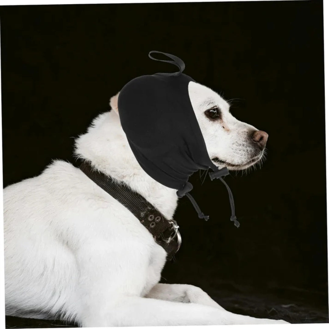 Dog Hearing Protection - Comfort & Stress Reduction