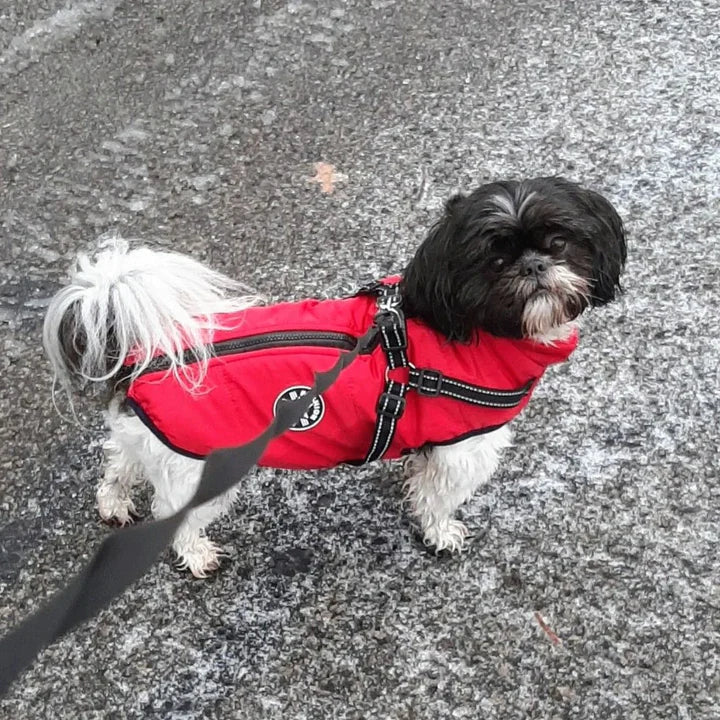 Dog Jacket