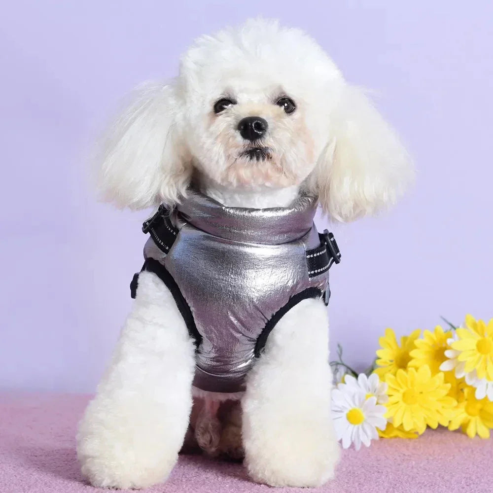Dog Jacket