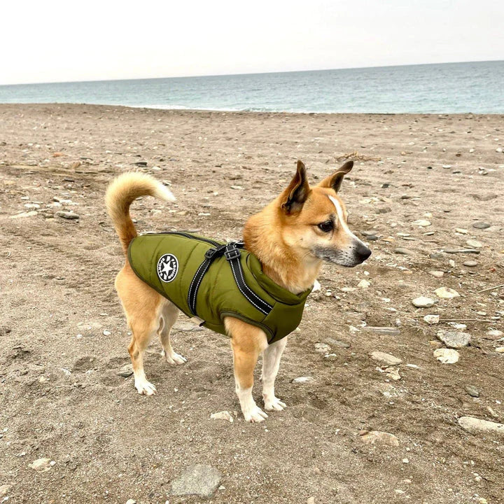 Dog Jacket
