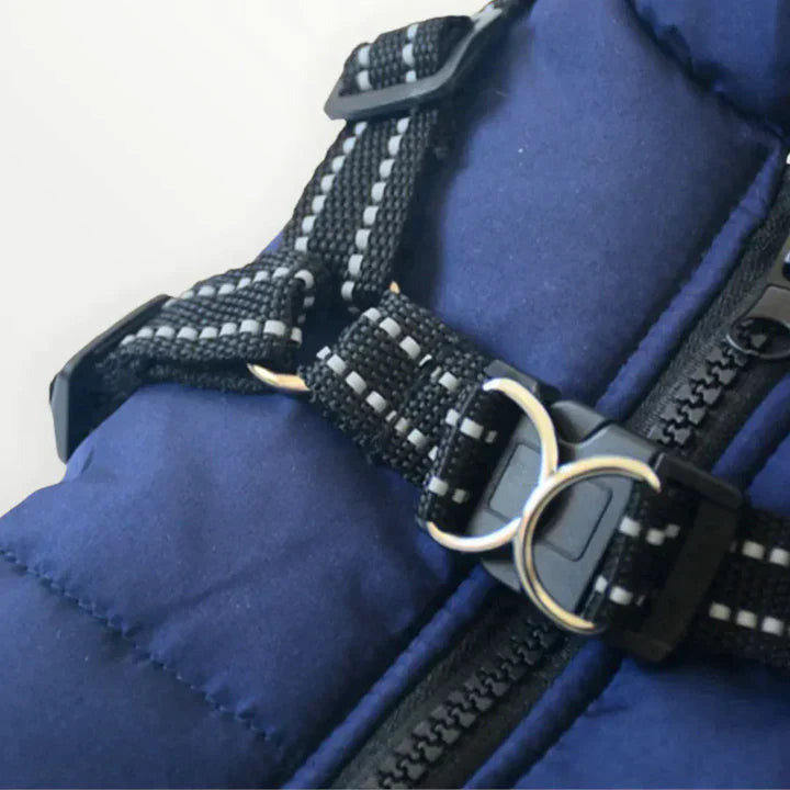 Dog Jacket