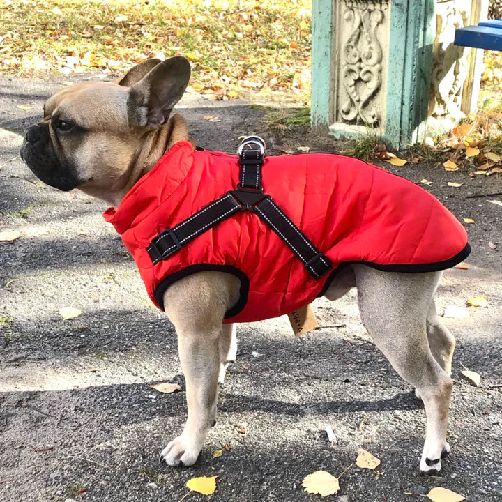 Dog Jacket