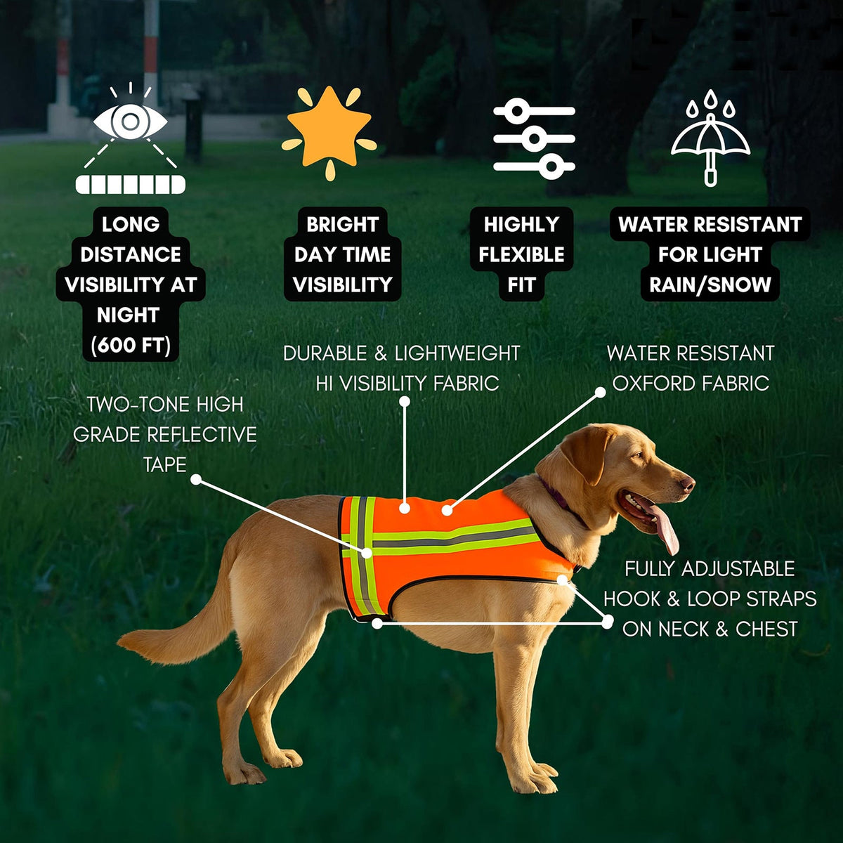Dog Safety Vest