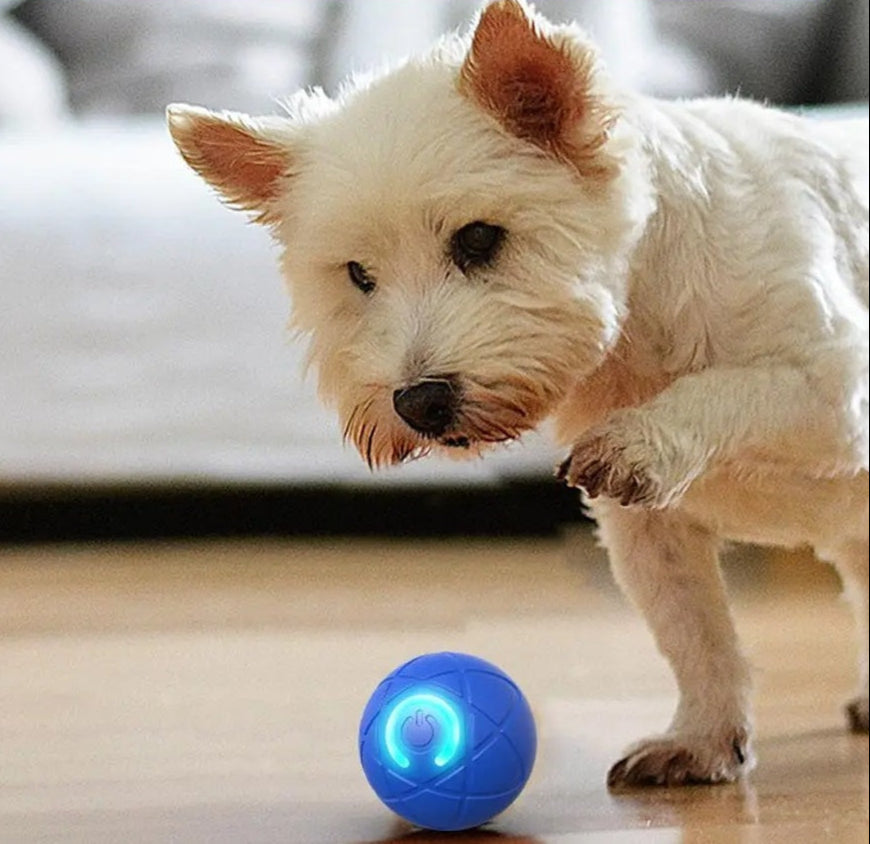 DogCatFri™ InteractiveBall: Rechargeable Interactive Toy Ball for Pets