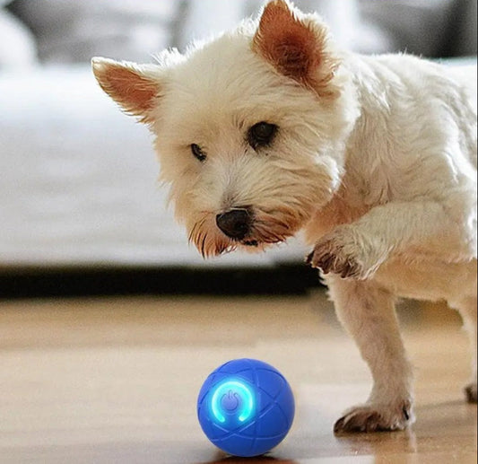 DogCatFri™ InteractiveBall: Rechargeable Interactive Toy Ball for Pets