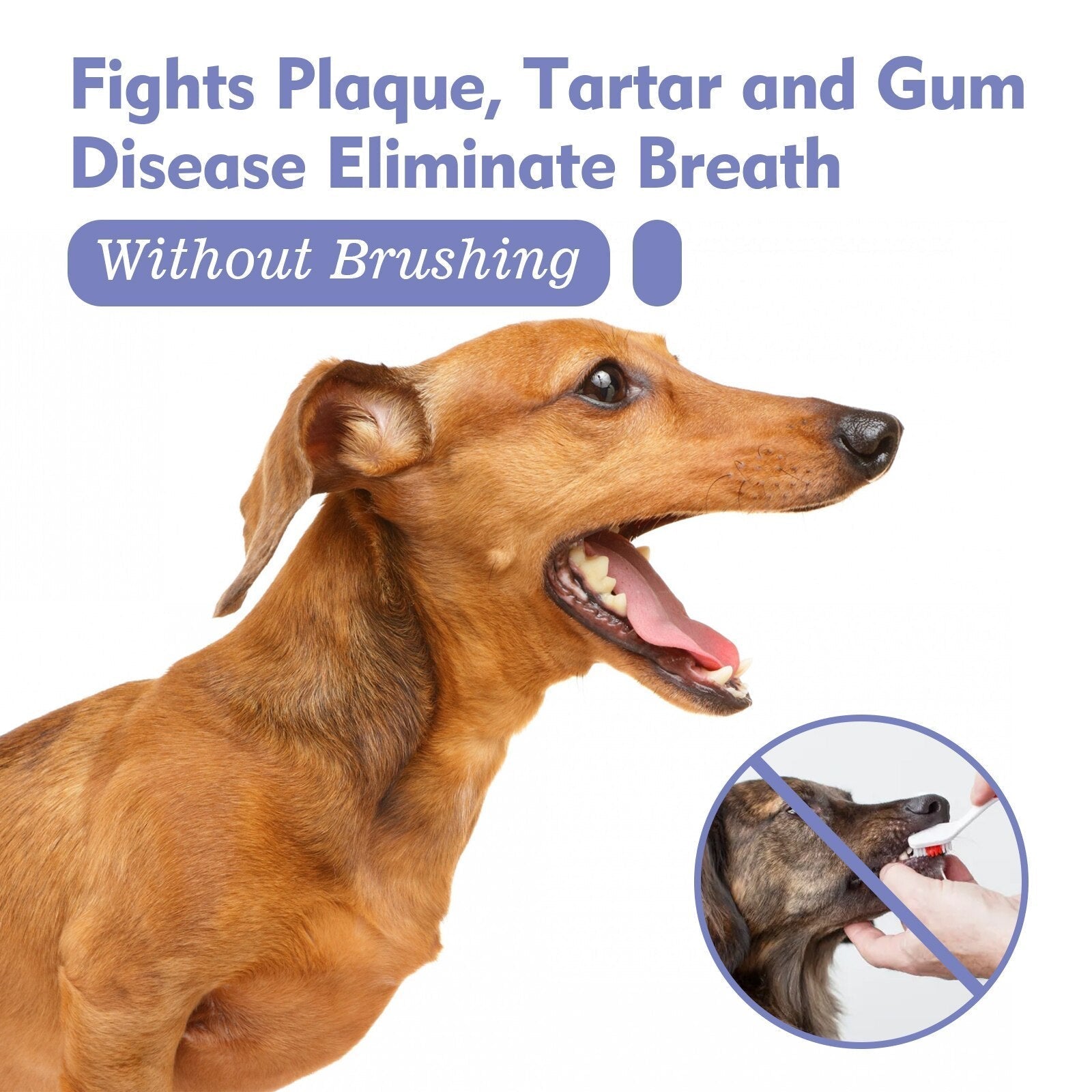 DogCatFri™ PetSpray: Pet Breath Freshening Spray