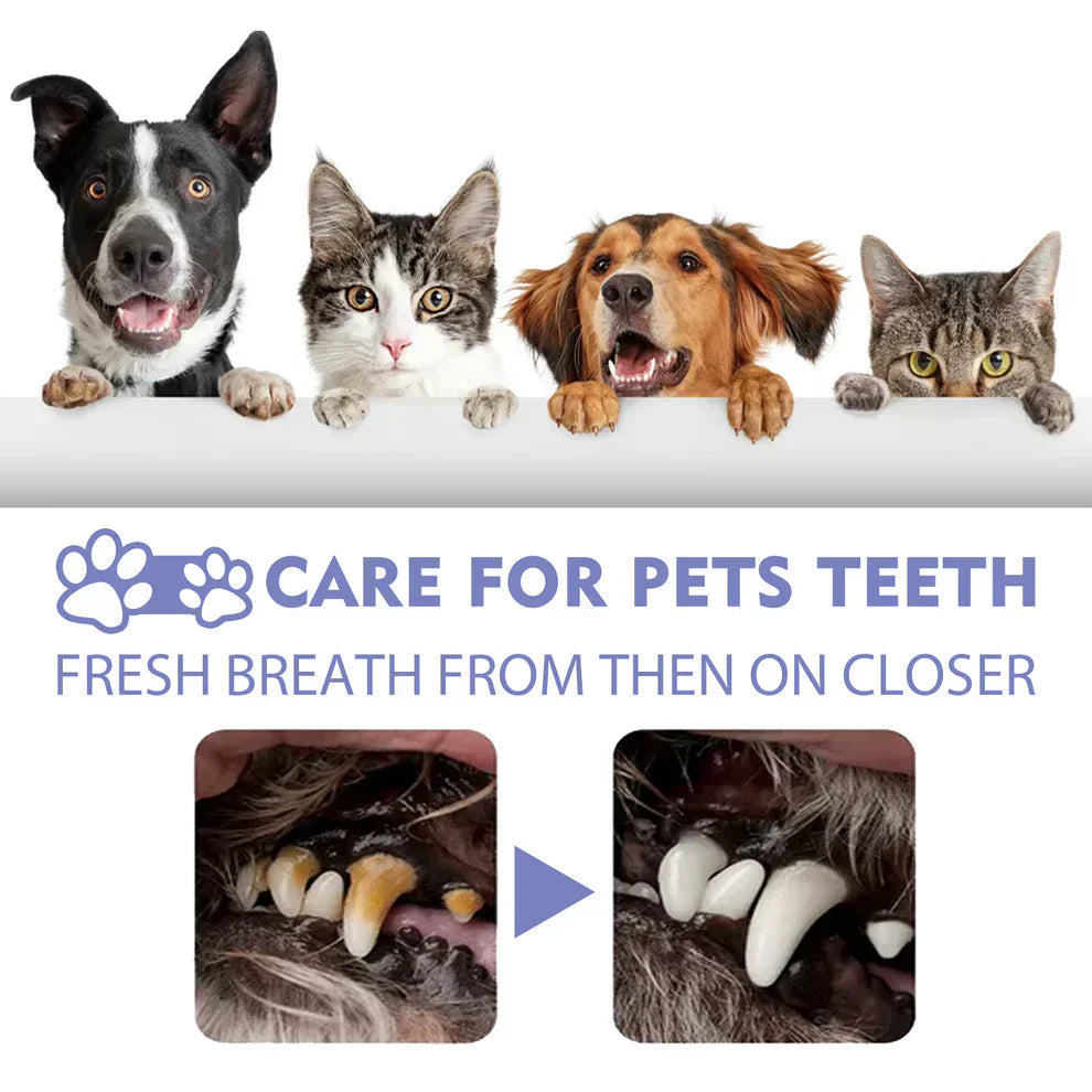 DogCatFri™ PetSpray: Pet Breath Freshening Spray