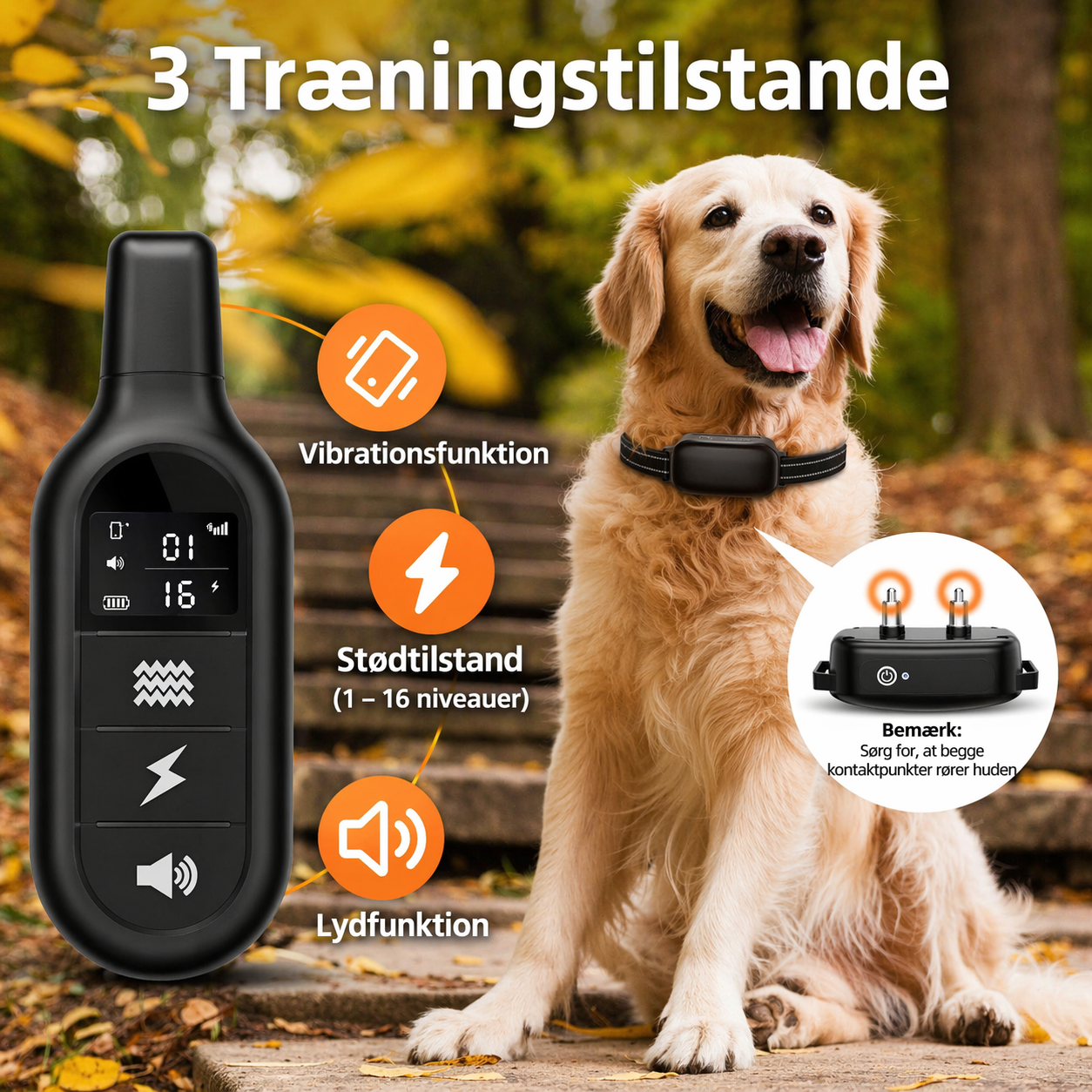 Electronic Waterproof Dog Collar - Remote Control | Long Range