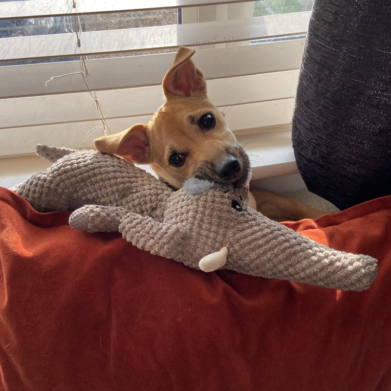 Extra Strong Dog Toy for Aggressive Chewers - Durable and Safe