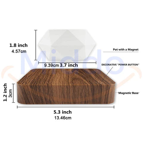 FloatPot™ | Magical Floating Plant Pot for Modern Home Decoration