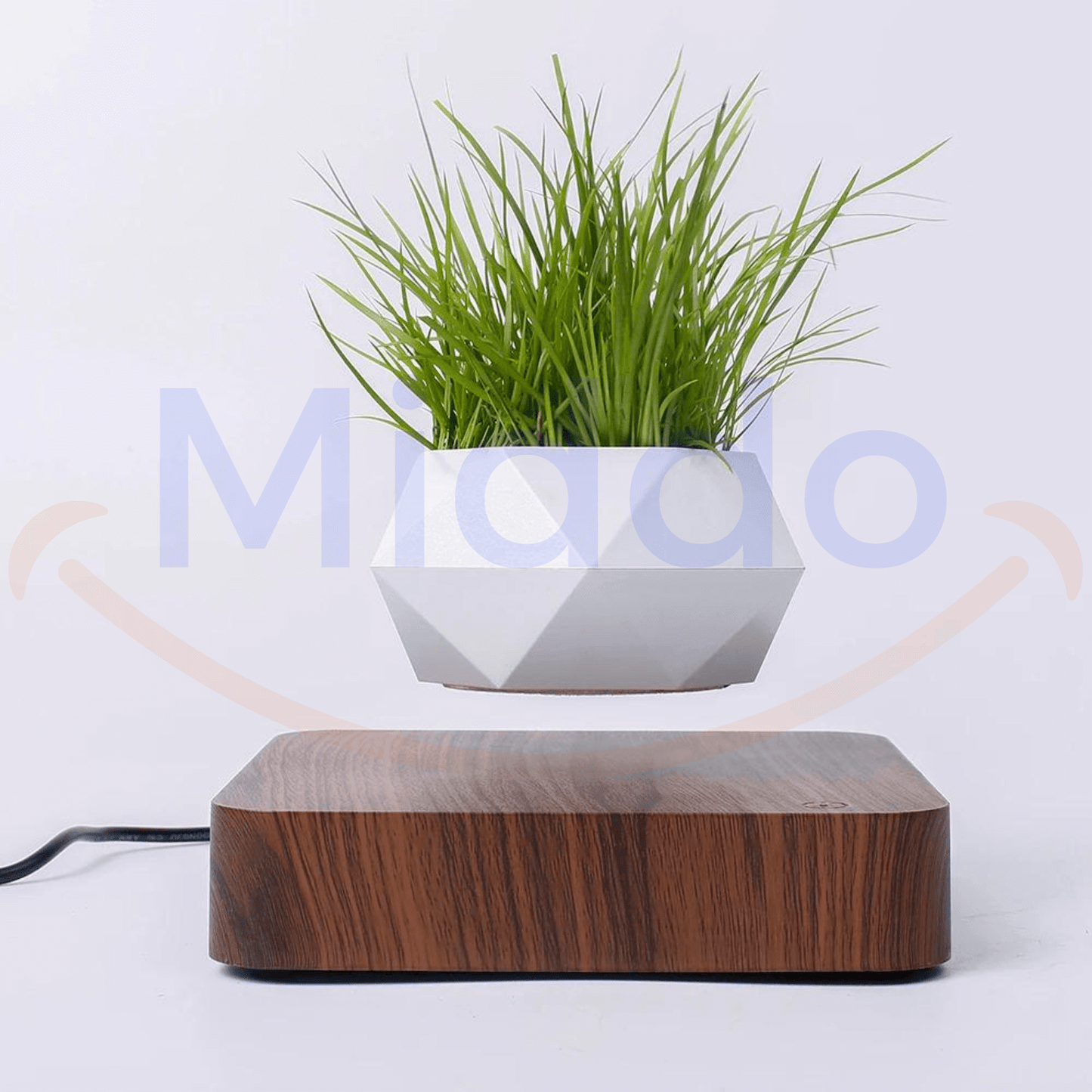FloatPot™ | Magical Floating Plant Pot for Modern Home Decoration